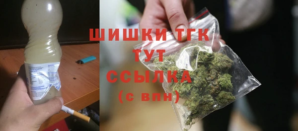 метадон Богданович